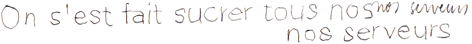 On s'est
                fait sucrer tous nos serveurs